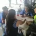 Policía realizó actividades lúdicas y de peluquería a abuelos en Puerto Libertador&nbsp;