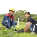 Córdoba Resources promueve la preservación ambiental con la siembra de la “Barrera Viva” en Mina La Estrella