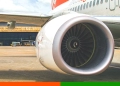 succionado por turbina de avión