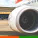succionado por turbina de avión