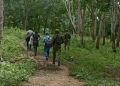 Aplican extinción de dominio a 288 hectáreas de propiedades en el Urabá antioqueño, ¿por qué?