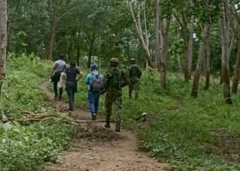 Aplican extinción de dominio a 288 hectáreas de propiedades en el Urabá antioqueño, ¿por qué?