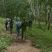 Aplican extinción de dominio a 288 hectáreas de propiedades en el Urabá antioqueño, ¿por qué?