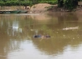 ¡Preocupante! Hallazgo de cuerpos sin vida en el río Sinú