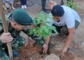 Ejército sembró más de 100.000 árboles para combatir la deforestación en el Bajo Cauca Antioqueño y sur de Córdoba