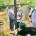 Montería acumula el 45% de los casos de dengue en Córdoba