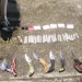 Capturas, machete, navajas y dr0gas: el resultado en un operativo en el Estadio de Montería