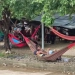 Crisis humanitaria en Tierralta por desplazamiento masivo