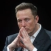 Científicos acusan a Elon Musk de matar monos durante la experimentación de chips cerebrales