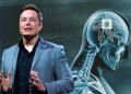 Neuralink iniciará pruebas en humanos para implantar chips cerebrales