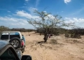 Murió niño Wayuu al ser atropellado por turistas en pasaje artesanal