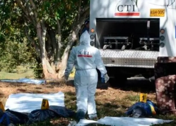 Hombre asesinó a su hermano, al aparecer, por 12 mil pesos