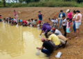 Proyecto agroambiental beneficia a 100 familias indígenas en Puerto Libertador