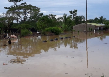 En estado ‘crítico’ el río San Pedro de Puerto Libertador por contaminación