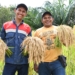 Córdoba Resources ayuda a la agricultura de Montelíbano con “Manos al Campo”