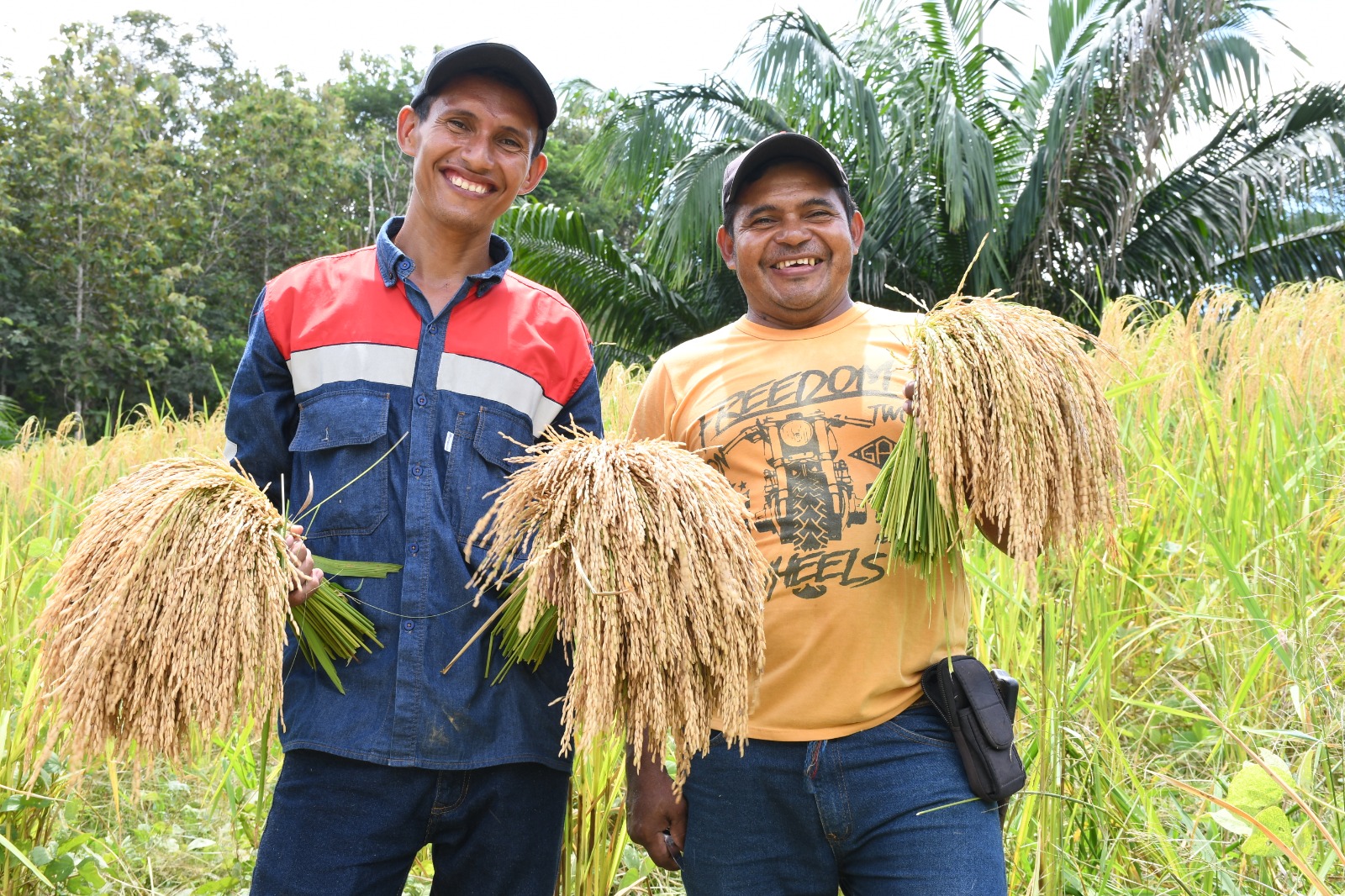 Córdoba Resources ayuda a la agricultura de Montelíbano con “Manos al Campo”