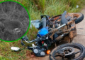 Una persona sin vida sería el resultado de un accidente de tránsito en la vía Montelíbano – Uré