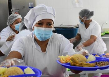 Recursos del PAE en riesgo: Ministerio de Hacienda no garantiza giros para 2025  