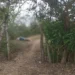Encuentran cuerpo sin vida donde fue encontrado el cuerpo sin vida del ganadero Esteban Urueta