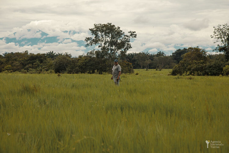 Córdoba lidera la distribución de tierras en Colombia en 2024