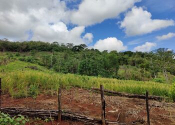 Campesinos del Sur de Córdoba inician proyectos productivos en tierras entregadas por el Gobierno