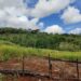 Campesinos del Sur de Córdoba inician proyectos productivos en tierras entregadas por el Gobierno