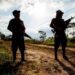 Enfrentamientos armados dejan 9 muertos en Bolívar: fueron llevado a Montelíbano