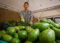 Colombia en alerta por posibles aranceles de EE.UU. a productos agrícolas como Café, flores y aguacate