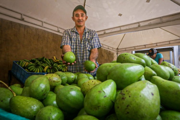 Colombia en alerta por posibles aranceles de EE.UU. a productos agrícolas como Café, flores y aguacate