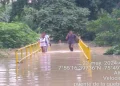 Corte Constitucional ordena a Montelíbano construir puente en Puerto Nuevo: Plazos perentorios y responsabilidad municipal definida