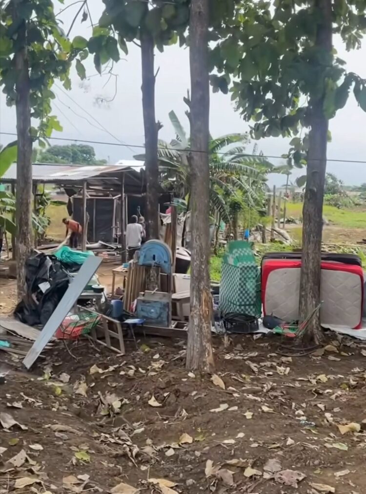 Un sueño interrumpido en Buenavista, Córdoba: familias desalojadas ven derrumbar su esperanza de tener casa propia